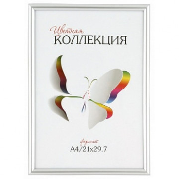 Рамка 6112-A4S (A4) Цветная коллекция серебро пластик