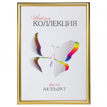 Рамка 6112-A4G (A4) Цветная коллекция золото пластик