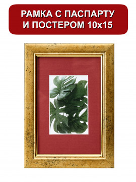 153355/ Рамка 120.2114.01 (10*15/6*9) золото с паспарту