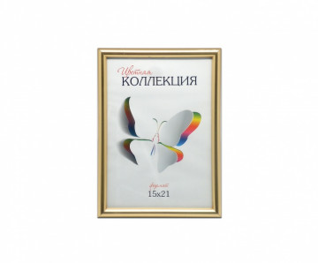 Рамка 6112-6G (15*21) Цветная коллекция золото пластик
