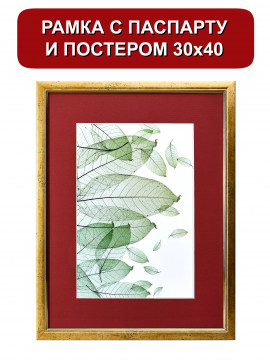 153364/ Рамка 120.2114.01 (30*40/20*30) золото с паспарту