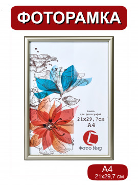 125161/Рамка 199.N.OAC. (А4) серебро