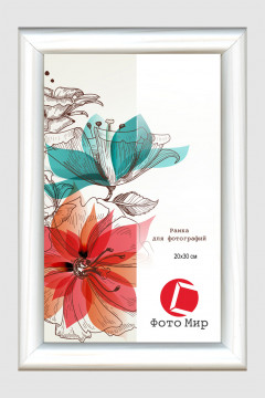 103088/Рамка 199.N.OAC.106 (20*30) белый