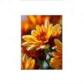 Магнит виниловый 20Х15