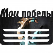 Медальница мои победы