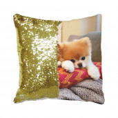 Подушка хамелеон 40Х40 золотой