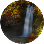 Магнит виниловый круглый 6х6