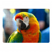 Пазл-МАГНИТ 20x28 - 120 элементов